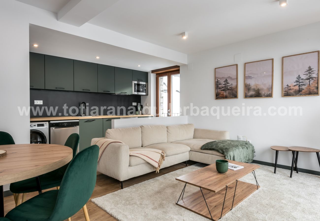 Apartamento en Naut Aran - Aiguamoix by Totiaran