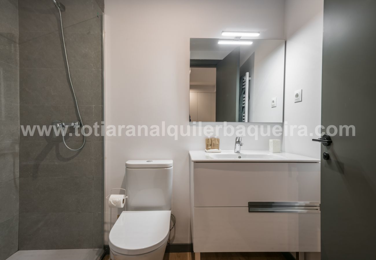 Apartamento en Naut Aran - Aiguamoix by Totiaran