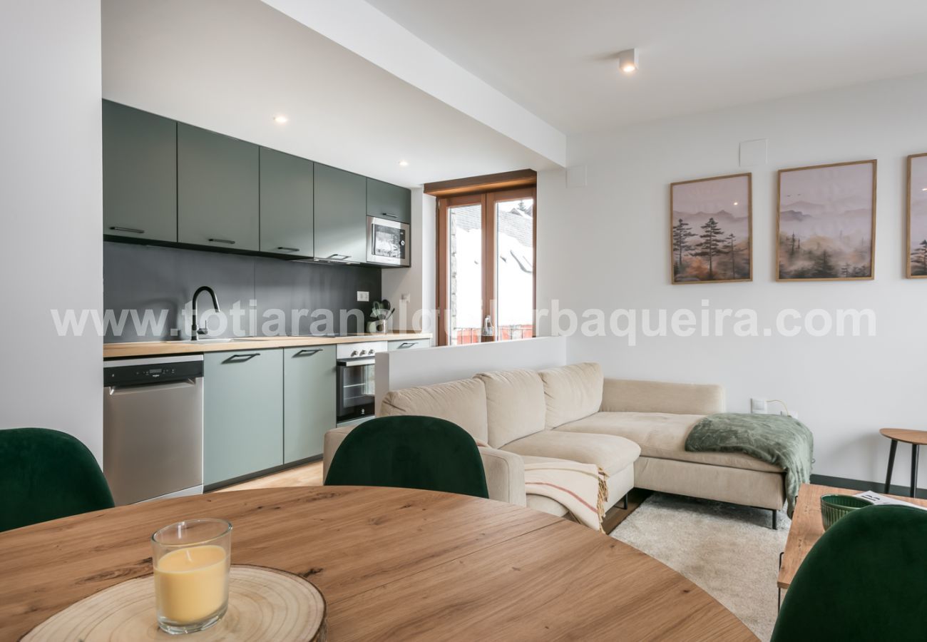 Apartamento en Naut Aran - Aiguamoix by Totiaran