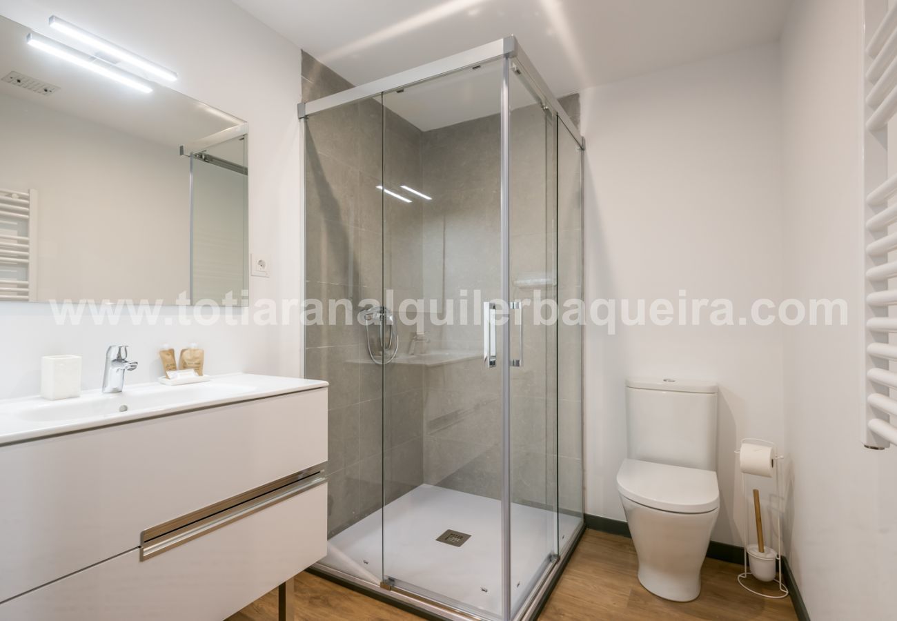 Apartamento en Naut Aran - Aiguamoix by Totiaran