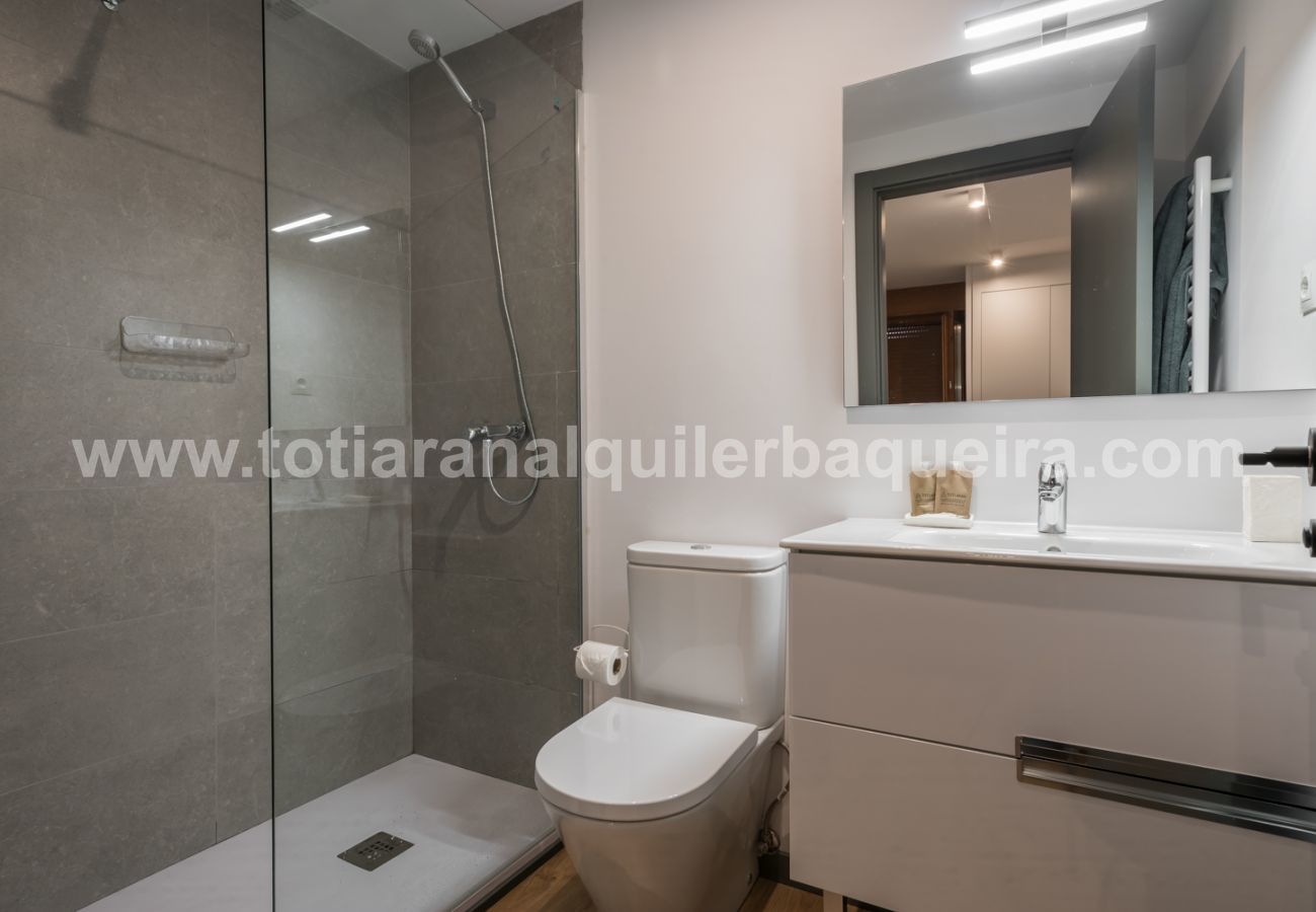 Apartamento en Naut Aran - Aiguamoix by Totiaran