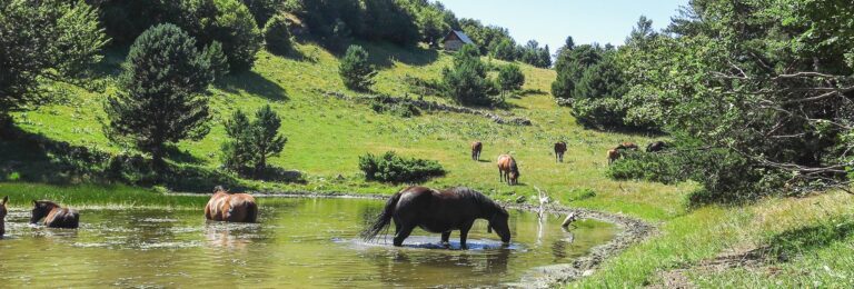 Baqueira Verano