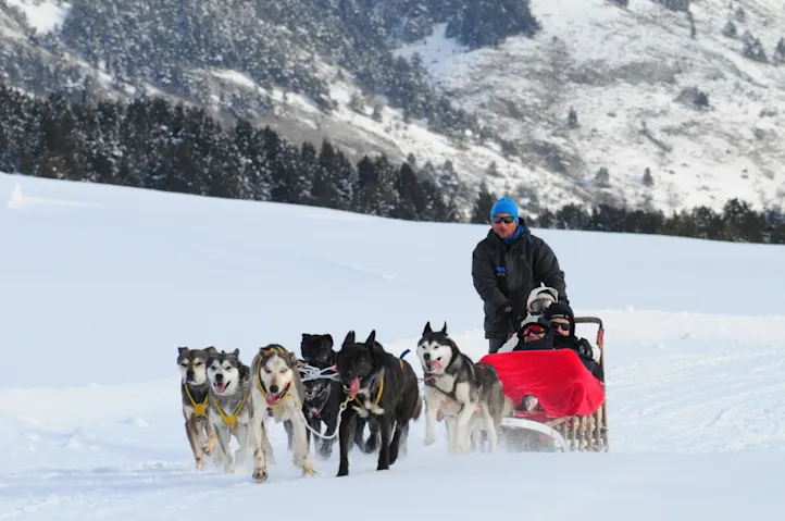 10 actividades en la nieve en Baqueira trinneo de perros