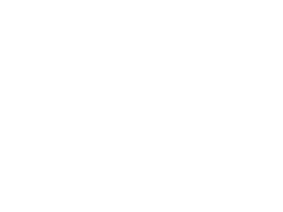 toti aran baqueira