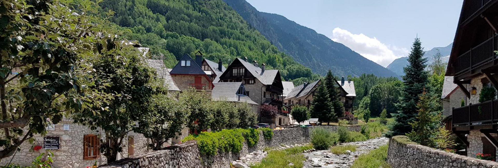 Vista de Artíes en el valle de Arán