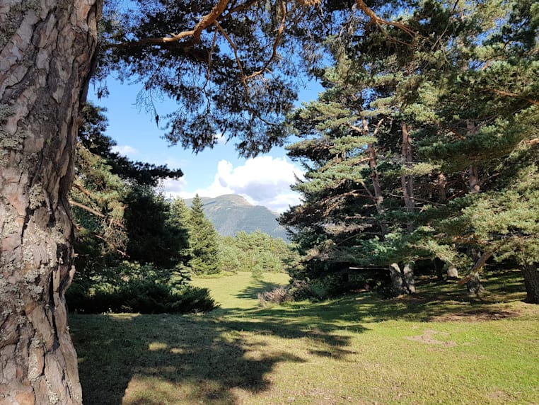 excursiones valle aran naturaleza