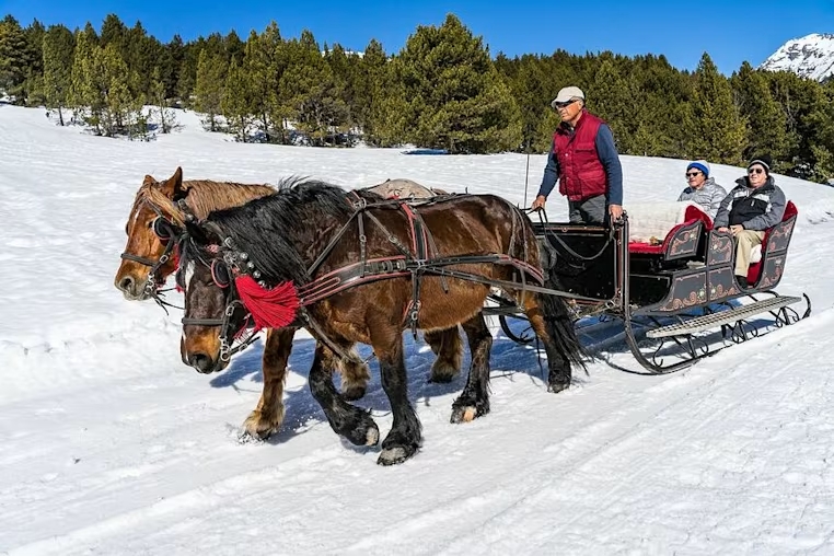 excursiones-valle-aran-trineo