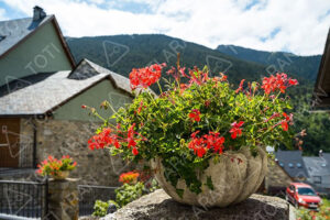 Maceta con flores en Gessa