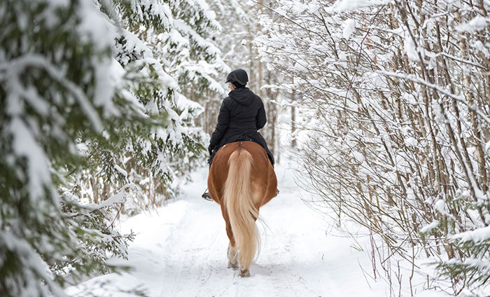 Paseo a caballo por la nieve en el Valle de Arán