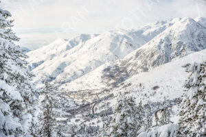 Pletas 1500 y 1700 Baqueira