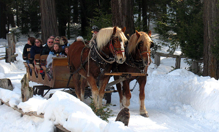 paseo trineo caballo baqueira