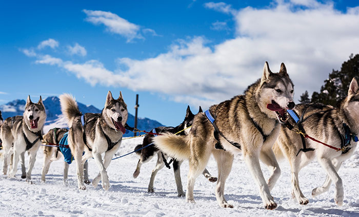 paseo trineo que hacer en baqueira