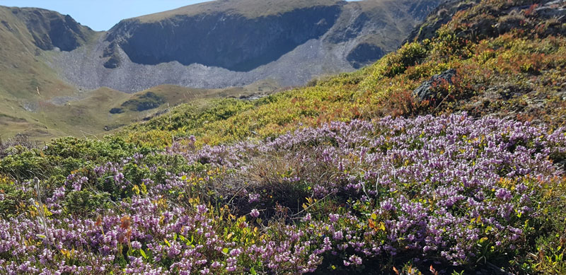 Rutas en primavera en en Valle de Arán