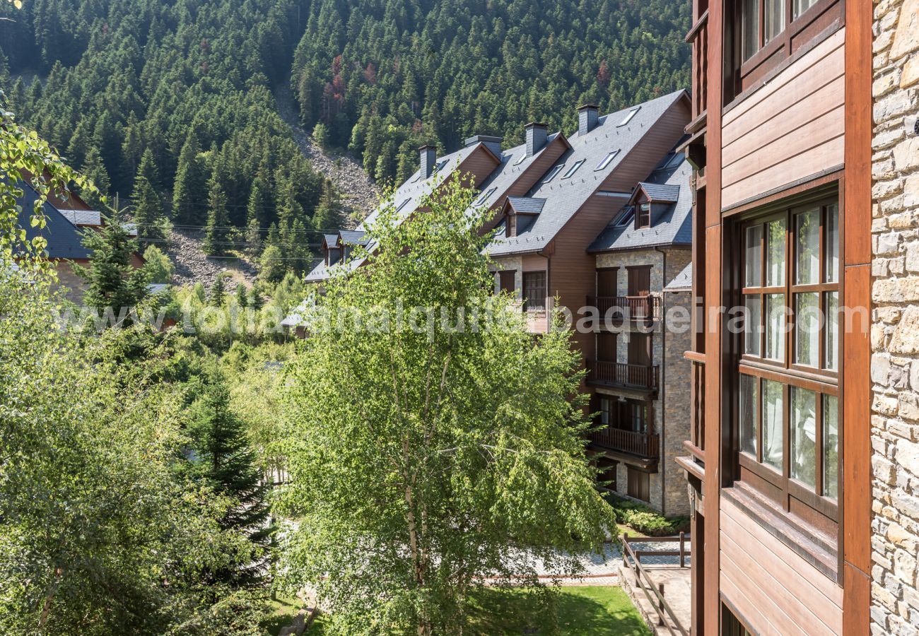 Apartment in Baqueira - Montgarri by Totiaran