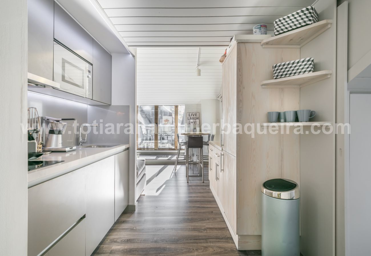 Apartment in Baqueira - Vistas Ruda by Totiaran