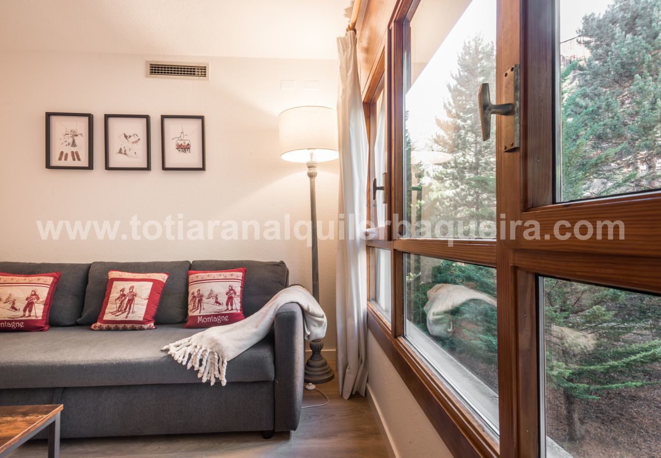 Apartment in Baqueira - Barlongueta by Totiaran