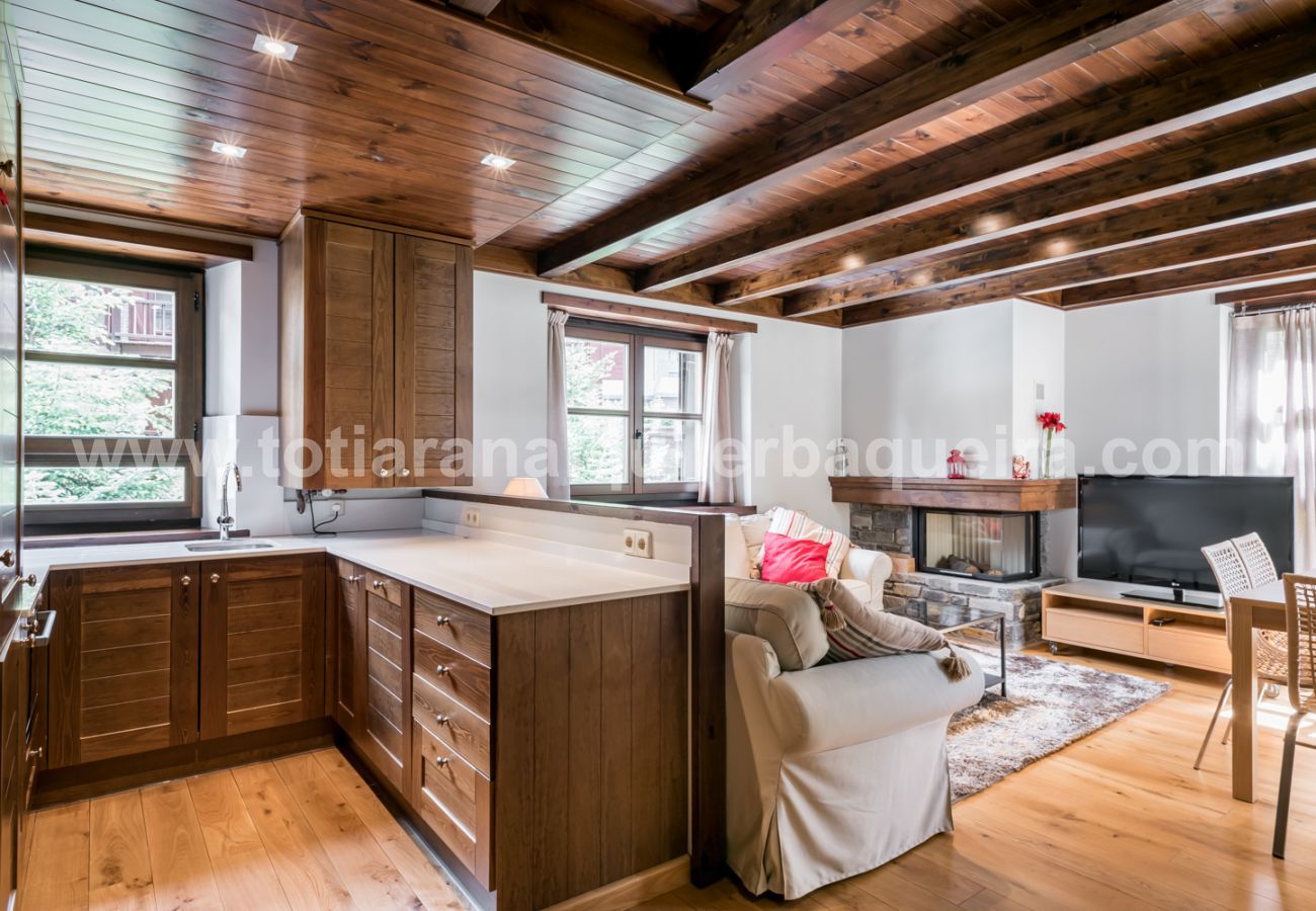 Apartment in Baqueira - Ticolet by Totiaran