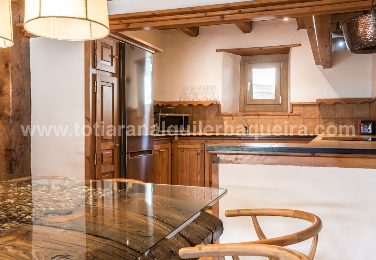 Apartment in Baqueira - Manaud - Pleta de Jus by Totiaran