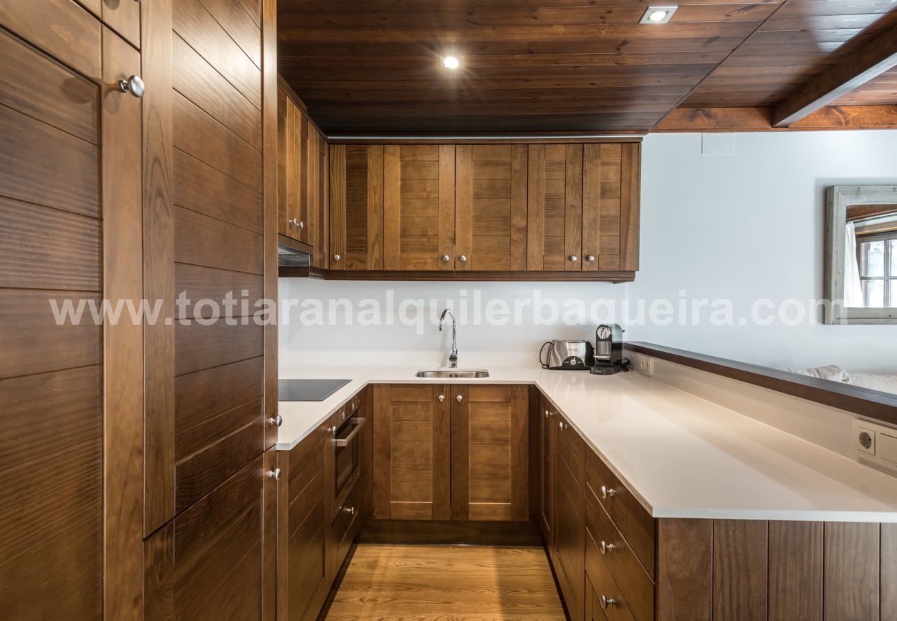 Apartment in Baqueira - Peira Arroja by Totiaran