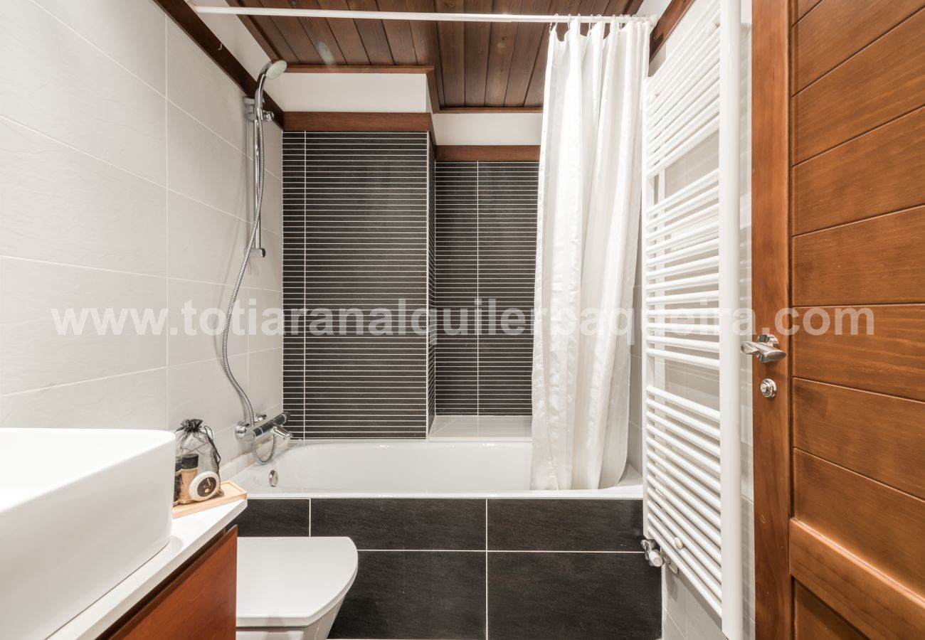 Apartment in Baqueira - Peira Arroja by Totiaran