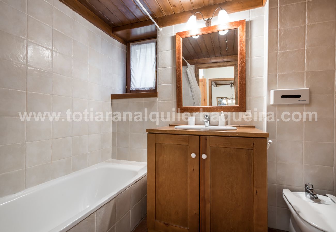 Apartment in Baqueira - Roca Blanca by Totiaran